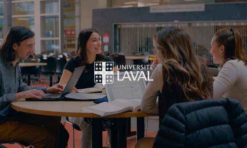 FMED - Portrait des programmes - Galerie Studio