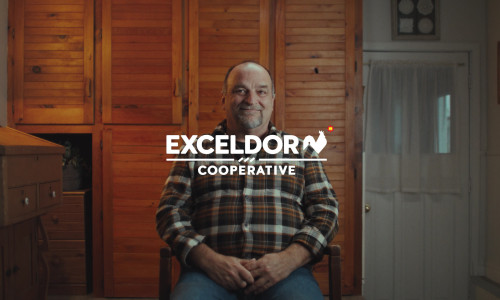 Exceldor - Nil en trois temps - Galerie Studio